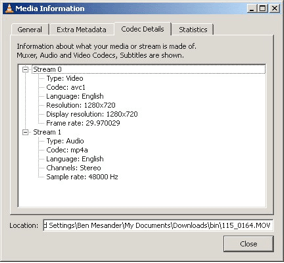 Codec information settings