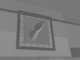 Cb squid picture