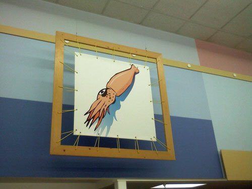 original squid picture
