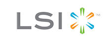 LSI Logo