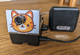 Amazon kinesis video streams cat detector case study